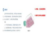 2.3 细胞中的糖类和脂质(2课时）课件PPT