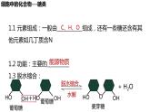 2.3 细胞中的糖类和脂质(2课时）课件PPT