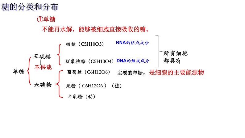 2.3 细胞中的糖类和脂质(2课时）课件PPT第5页