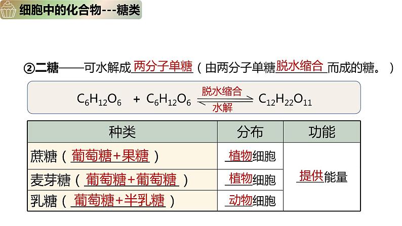 2.3 细胞中的糖类和脂质(2课时）课件PPT第6页