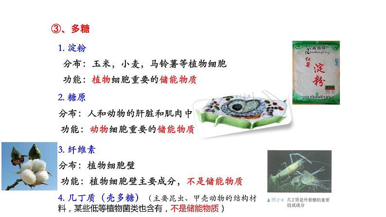 2.3 细胞中的糖类和脂质(2课时）课件PPT第7页