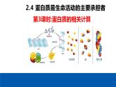 2.4 蛋白质是生命活动的主要承担者（第3课时）课件PPT