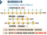 2.4 蛋白质是生命活动的主要承担者（第3课时）课件PPT