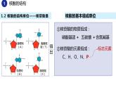 2.5核酸是遗传信息的携带者（2课时）课件PPT