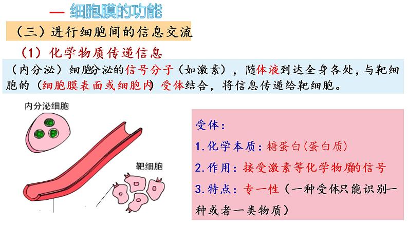 3.1细胞膜的结构和功能（第1课时）课件PPT07