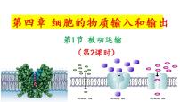 生物必修1《分子与细胞》第4章 细胞的物质输入和输出第1节 被动运输教学课件ppt