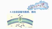 生物必修1《分子与细胞》第2节 主动运输与胞吞、胞吐多媒体教学ppt课件