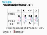 4.2主动运输与胞吞、胞吐（1.5课时）课件PPT