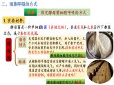 5.3细胞呼吸的原理和应用（第1课时）课件PPT