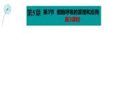 5.3细胞呼吸的原理和应用（第3课时）课件PPT