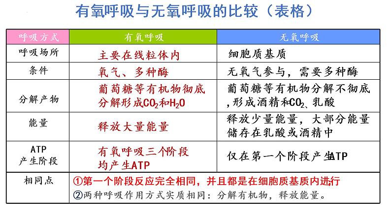 5.3细胞呼吸的原理和应用（第3课时）课件PPT08