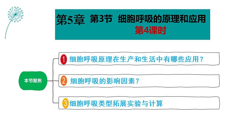 5.3细胞呼吸的原理和应用（第4课时）课件PPT01