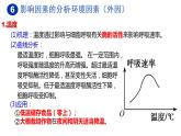 5.3细胞呼吸的原理和应用（第4课时）课件PPT