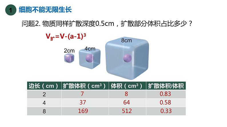 6.1细胞的增殖（第3课时）课件PPT第5页