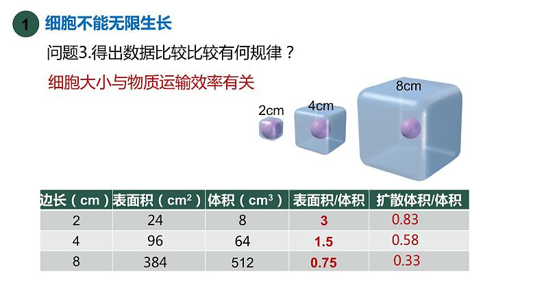 6.1细胞的增殖（第3课时）课件PPT第6页