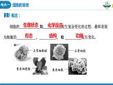 6.3细胞的衰老和死亡(1课时）课件PPT