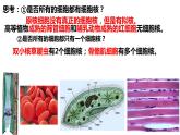3.3细胞核的结构与功能（2课时）课件PPT