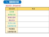 3.3细胞核的结构与功能（2课时）课件PPT