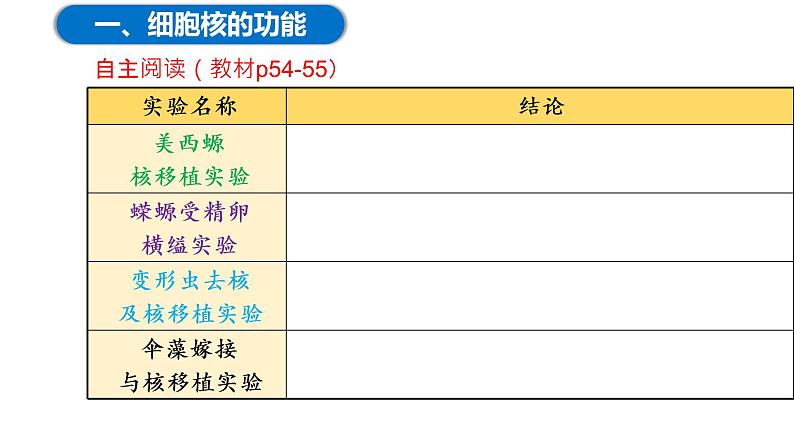 3.3细胞核的结构与功能（2课时）课件PPT04