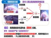 3.3细胞核的结构与功能（2课时）课件PPT