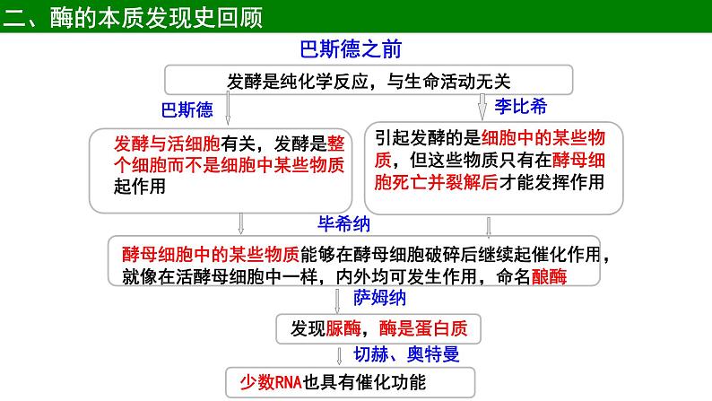 5.1化学反应活化能的酶（第2课时）课件PPT06