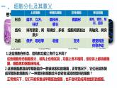 6.2细胞分化（1.5课时）课件PPT