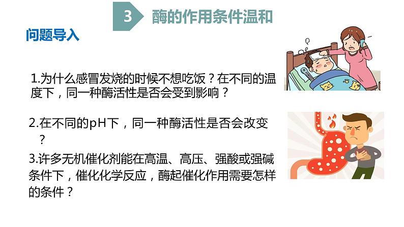 5.1化学反应活化能的酶（第3课时）课件PPT第2页