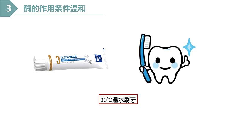 5.1化学反应活化能的酶（第3课时）课件PPT第3页