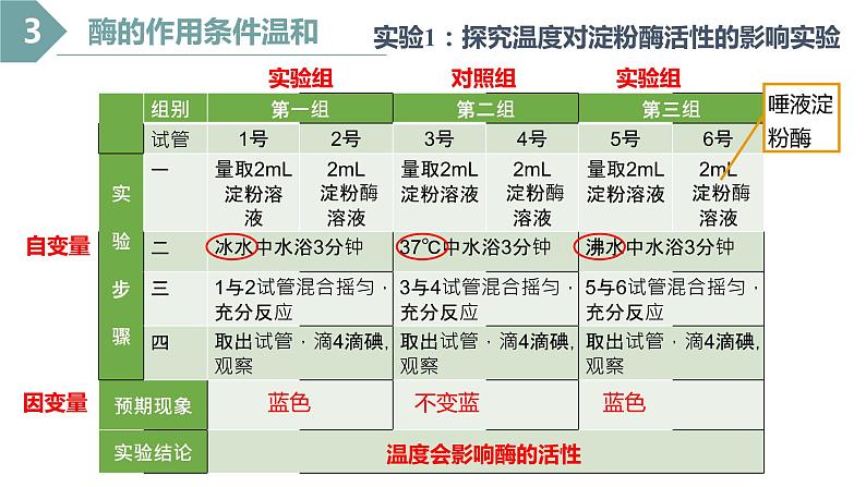 5.1化学反应活化能的酶（第3课时）课件PPT第5页