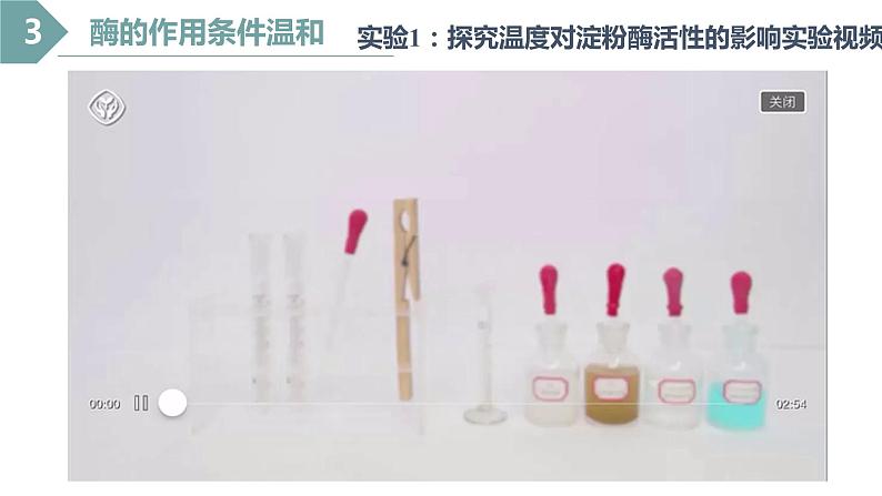 5.1化学反应活化能的酶（第3课时）课件PPT第6页