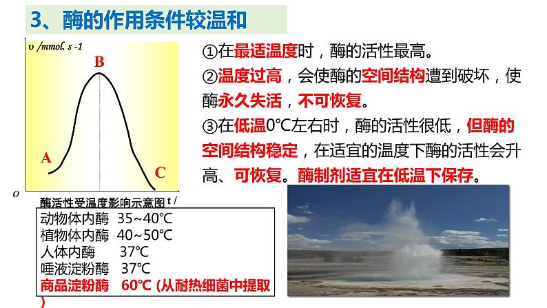 5.1化学反应活化能的酶（第3课时）课件PPT第8页
