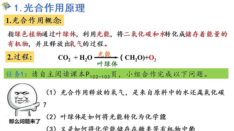 5.4光合作用与能量转化（第3课时）课件PPT02