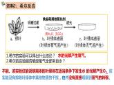 5.4光合作用与能量转化（第3课时）课件PPT