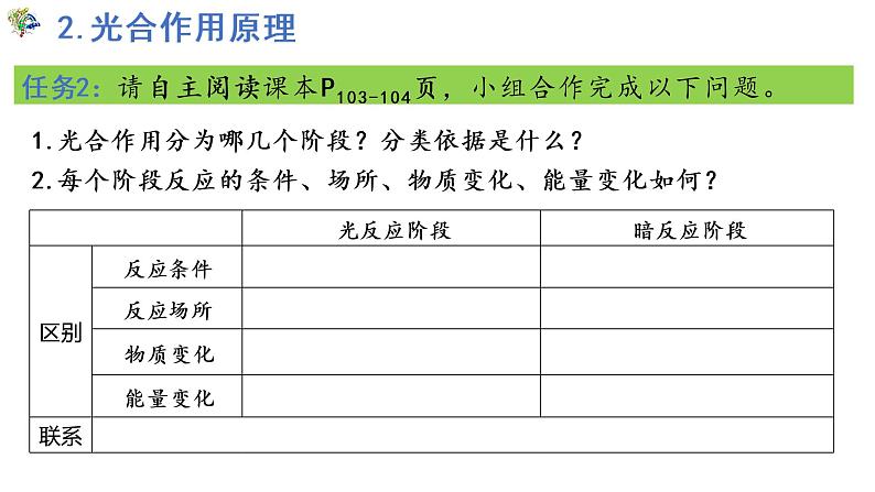 5.4光合作用与能量转化（第3课时）课件PPT08