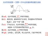 5.4光合作用与能量转化（第5课时-拓展难点）课件PPT