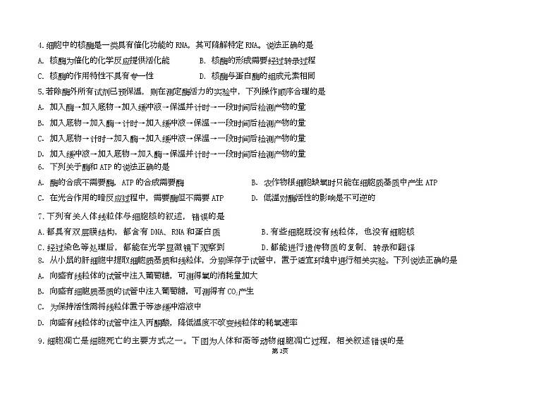 河南省郑州市励德双语学校2022-2023学年高三上学期期末考试生物试题02