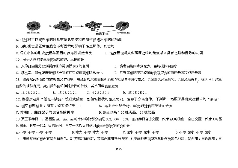 河南省郑州市励德双语学校2022-2023学年高三上学期期末考试生物试题03