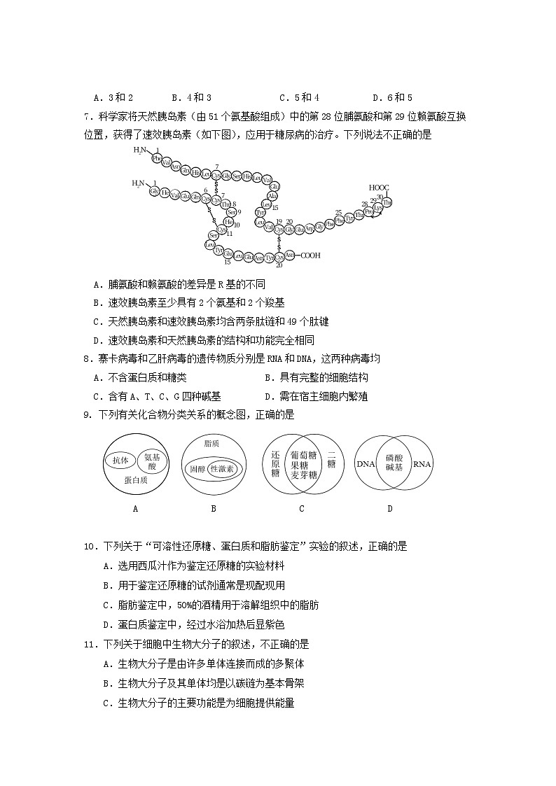 北京市丰台区2022-2023学年高一上学期11月期中考试生物试题A卷（Word版附答案）02