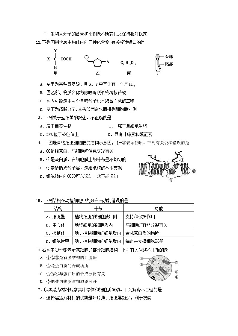 北京市丰台区2022-2023学年高一上学期11月期中考试生物试题A卷（Word版附答案）03