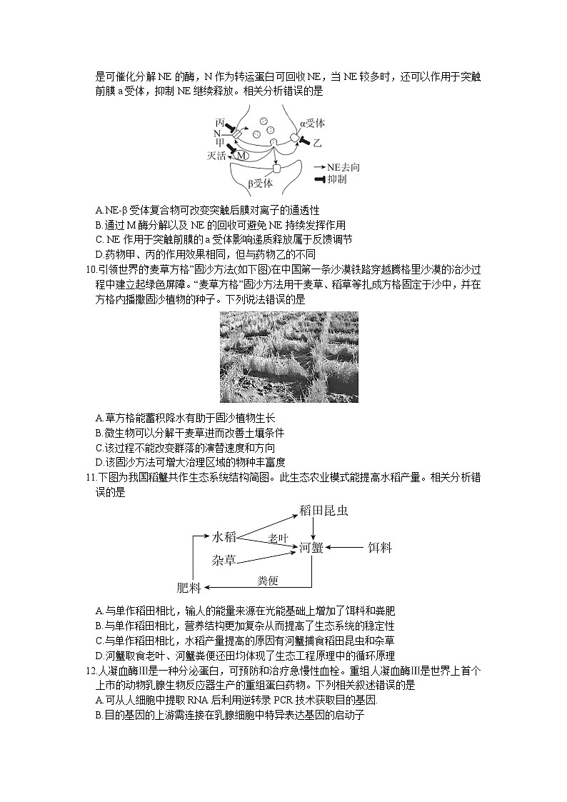 北京市东城区2022-2023学年高三上学期期末考试生物试卷第3页