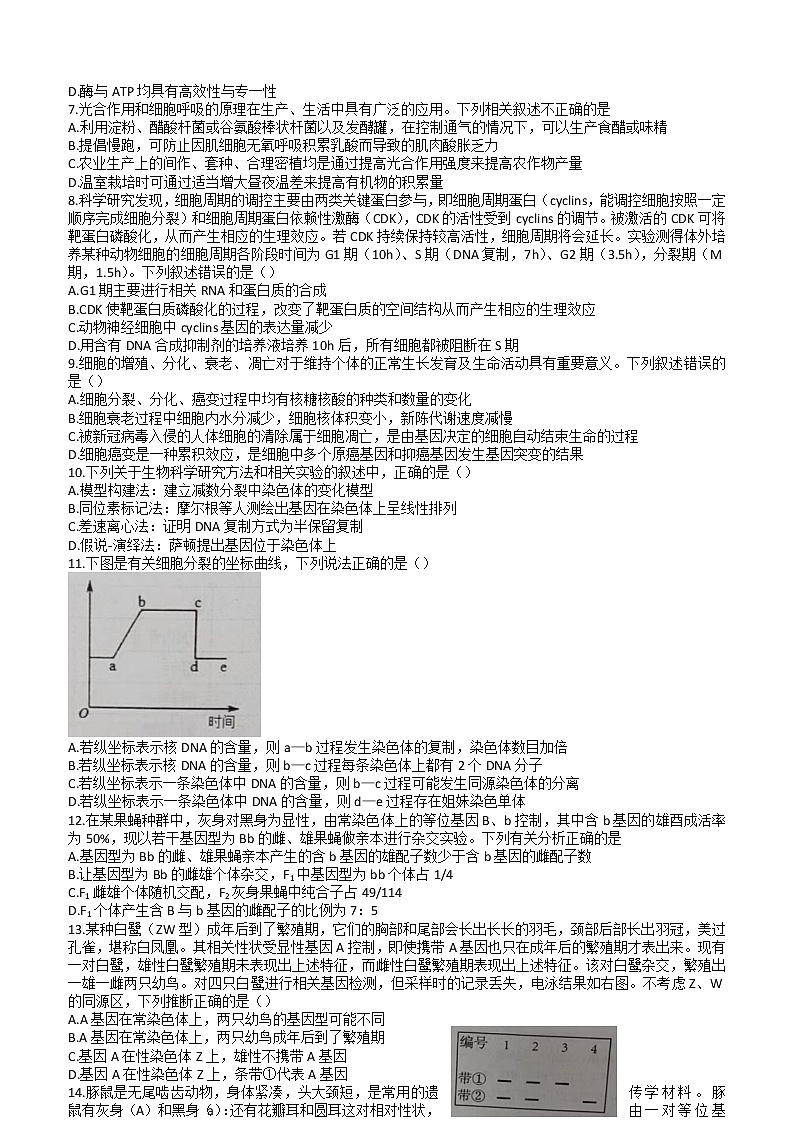 2023江西省五市九校协作体高三上学期第一次联考生物试题含答案（图片版）02