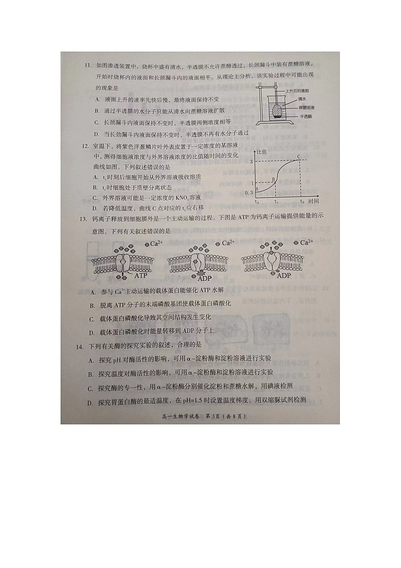 2023岳阳高一上学期期末质量教学监测生物图片版含答案03