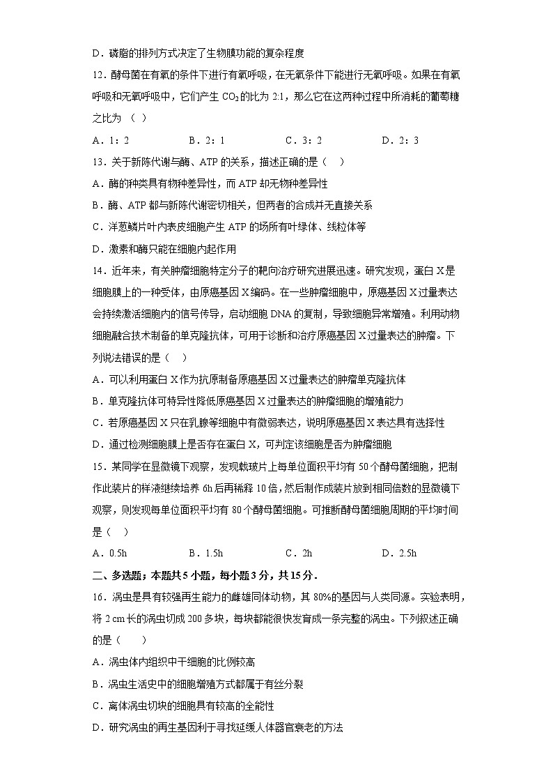 2023青岛二中高一上学期1月期末生物试题含答案03