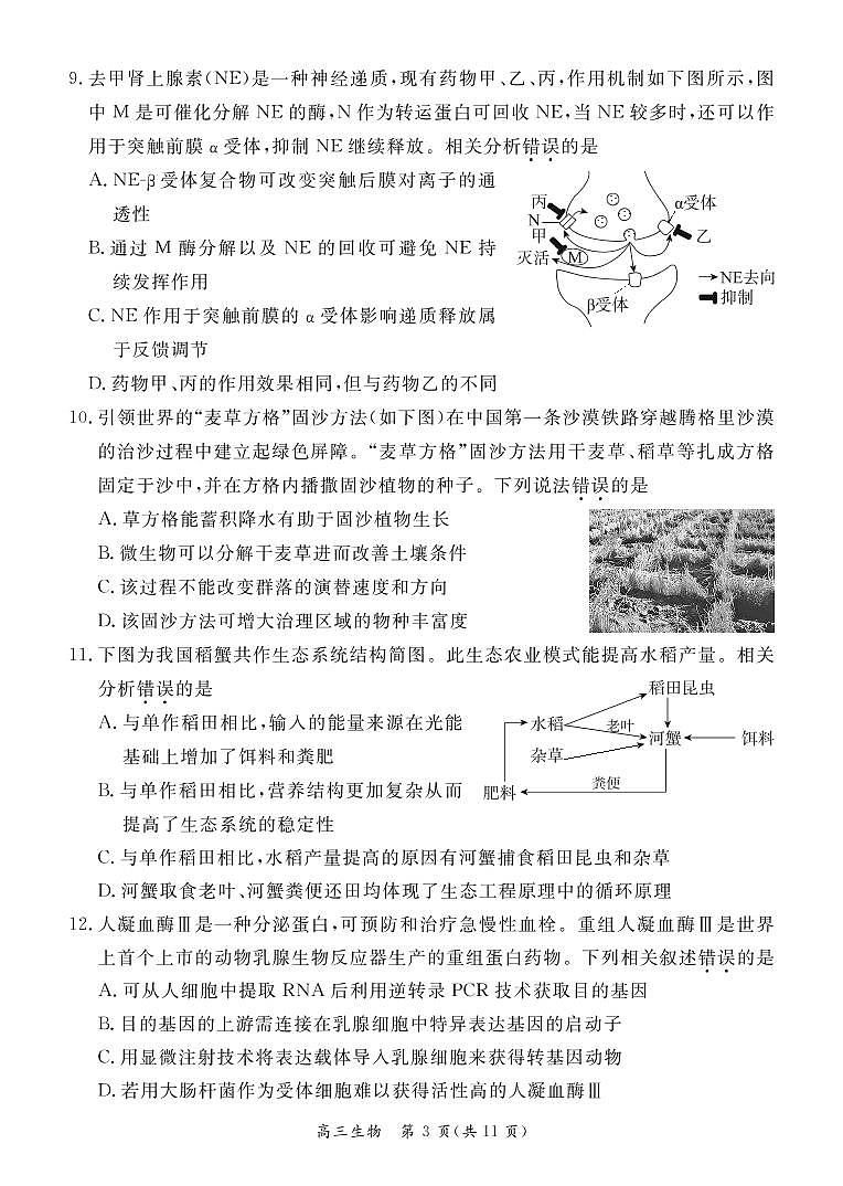 北京东城区2022-2023学年高三期末生物试题及答案03