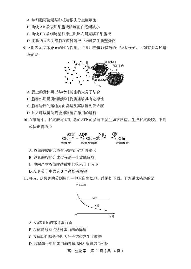北京市丰台区 2022—2023 学年度高一第一学期期末生物试题及答案03