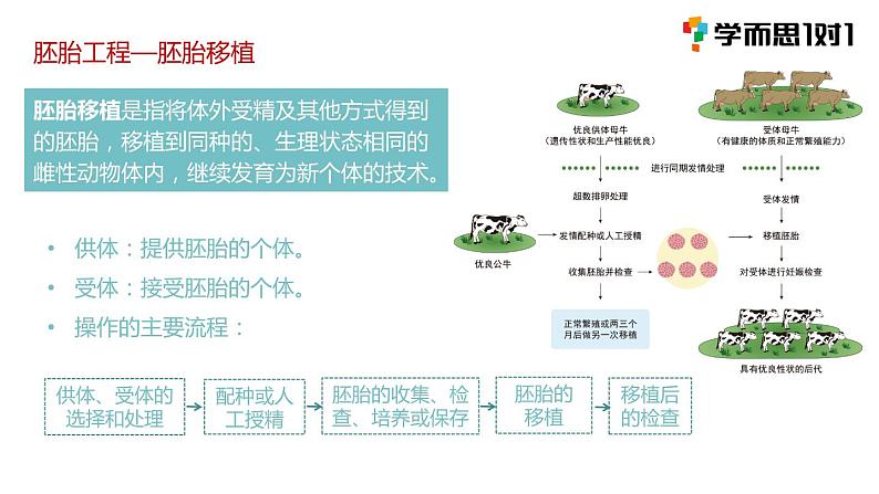 第三节 胚胎工程课时1课件PPT+教案06