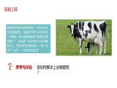 第三節(jié) 胚胎工程課時(shí)2課件PPT+教案