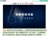 3.3 细胞核的结构和功能课件PPT