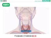 4.2 主动运输与胞吞、胞吐课件PPT