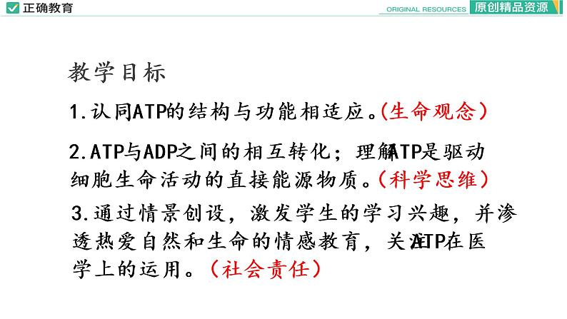 5.2 细胞的能量“货币”ATP课件PPT02